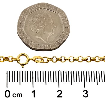 9ct gold (Hollow) 1.9g 18 inch belcher Chain